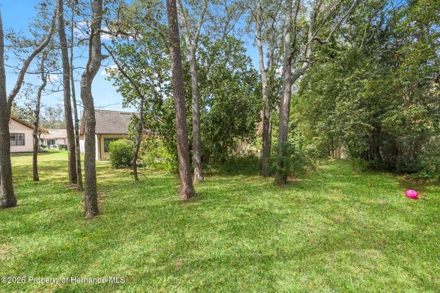 6713 Oak Cluster Circle, Spring Hill, FL 34606