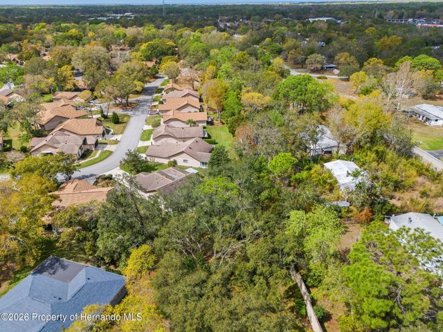 6713 Oak Cluster Circle, Spring Hill, FL 34606