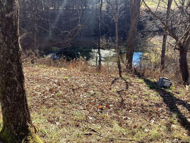 463 County Road 131, Callicoon, NY 12723