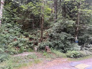 64017 E Cascade Drive #1-194, Marblemount, WA 98267