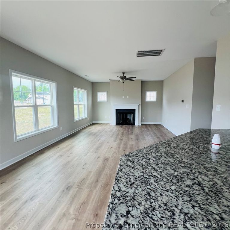 78 Hungry Creek Drive, Erwin, NC 28339 — photo 2