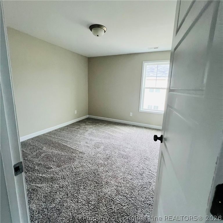 78 Hungry Creek Drive, Erwin, NC 28339 — photo 4