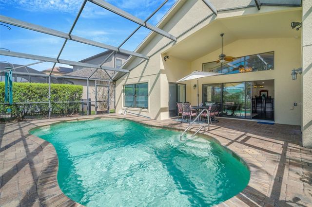 19361 YELLOW CLOVER DRIVE, Tampa, FL 33647