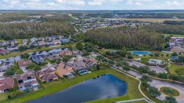 19361 YELLOW CLOVER DRIVE, Tampa, FL 33647