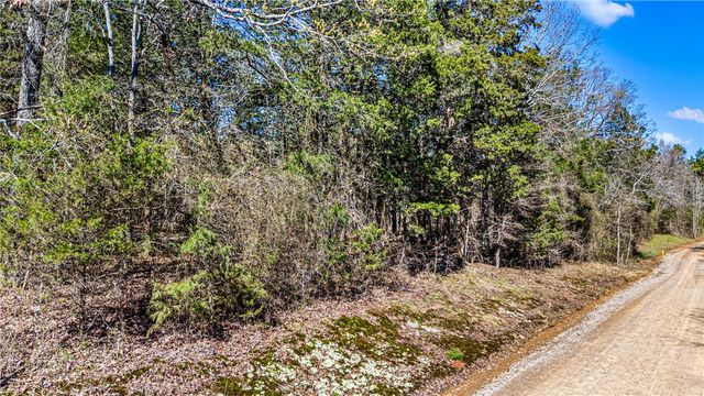 RIVERSIDE Road, Delaware, AR 72835