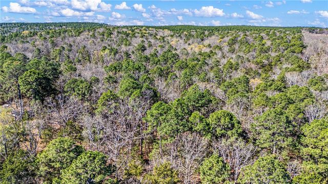 RIVERSIDE Road, Delaware, AR 72835