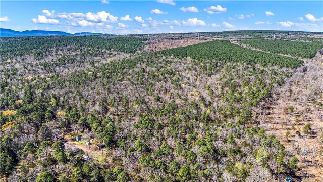 RIVERSIDE Road, Delaware, AR 72835