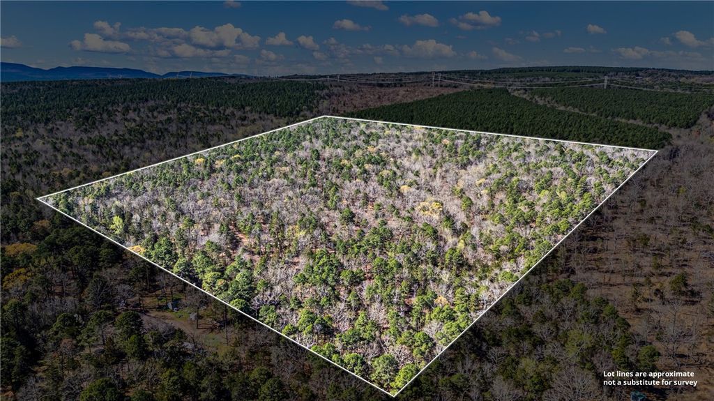 RIVERSIDE Road, Delaware, AR 72835