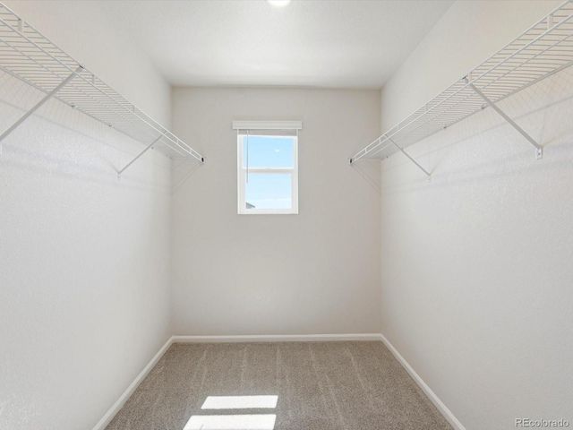 16388 Gaylord Street, Thornton, CO 80602