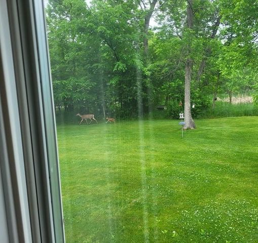 7290 83rd Street NE, Monticello, MN 55362