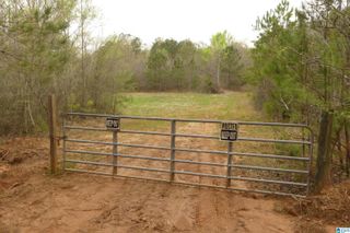 54 Acres COUNTY ROAD 15, Wedowee, AL 36278