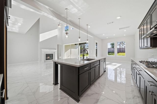 1715 Divino Pass, Conroe, TX 77304