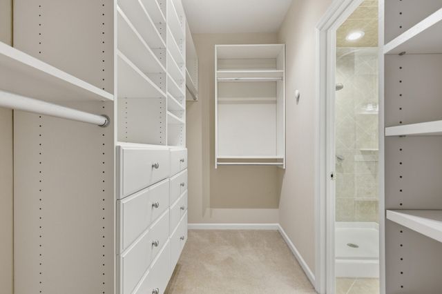 2384 Bergeron Way, Mount Pleasant, SC 29466