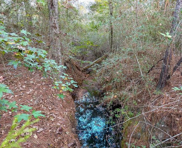 10662 Ruger Road, Willis, TX 77378