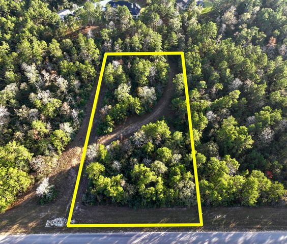 10662 Ruger Road, Willis, TX 77378