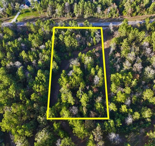 10662 Ruger Road, Willis, TX 77378