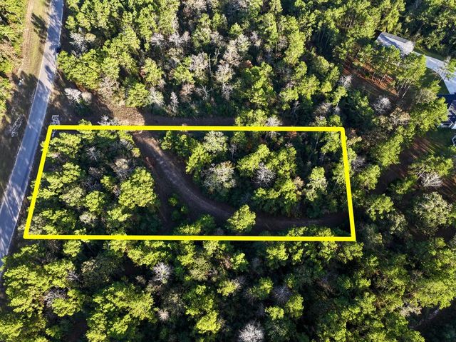 10662 Ruger Road, Willis, TX 77378