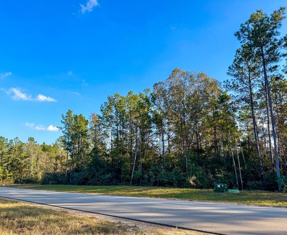 10662 Ruger Road, Willis, TX 77378