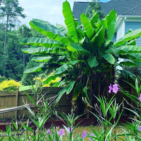 4603 Brighton Ridge Drive, Apex, NC 27539