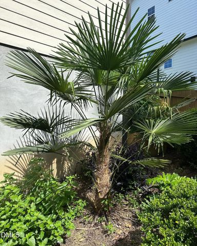 4603 Brighton Ridge Drive, Apex, NC 27539