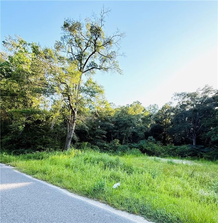 324 Crystal Springs Road S, Eight Mile, AL 36613 — photo 2