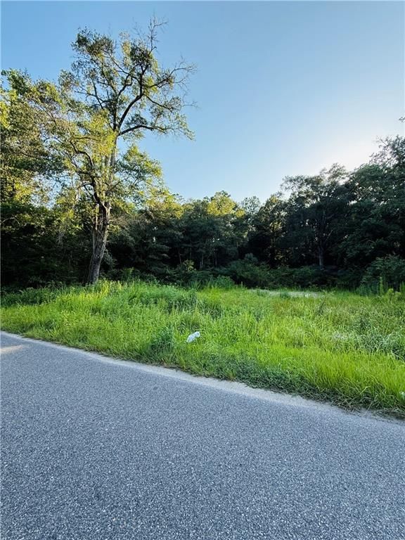 324 Crystal Springs Road S, Eight Mile, AL 36613 — photo 3