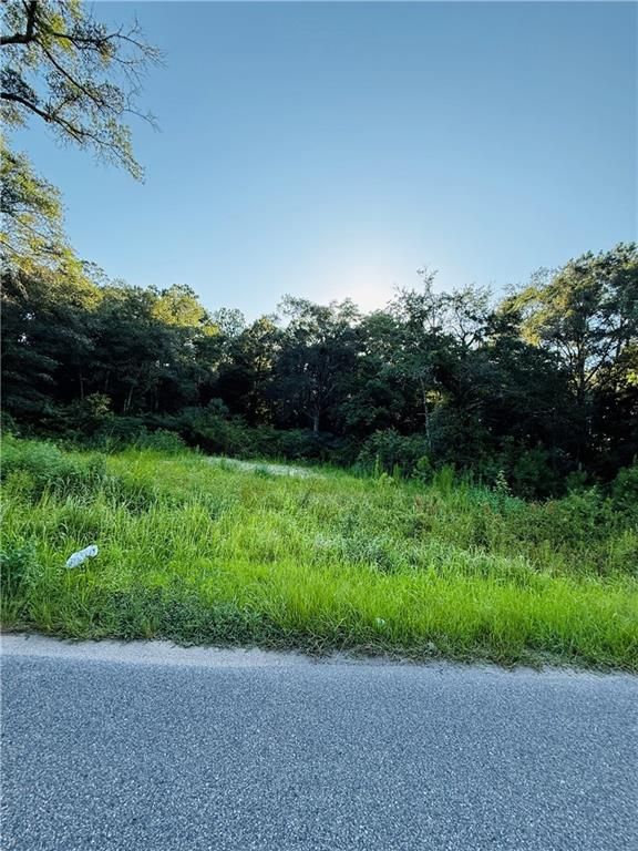 324 Crystal Springs Road S, Eight Mile, AL 36613 — photo 4