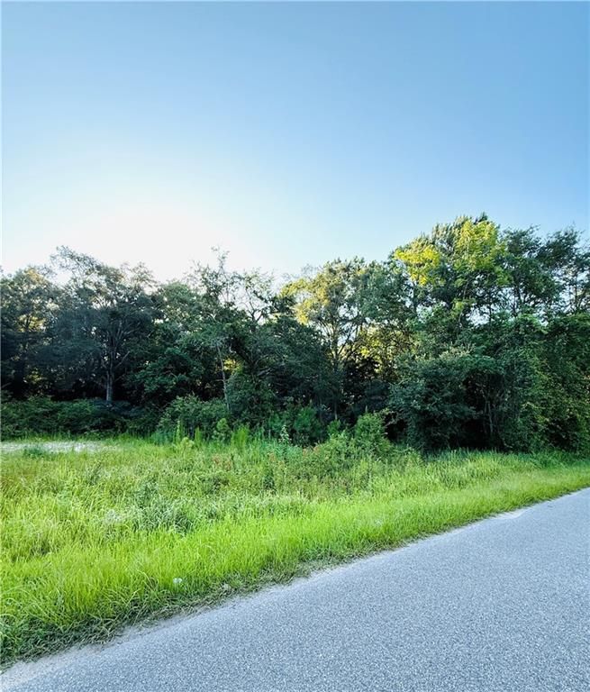 324 Crystal Springs Road S, Eight Mile, AL 36613 — photo 5