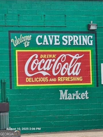 8126 Blacks Bluff Road SW, Cave Spring, GA 30124