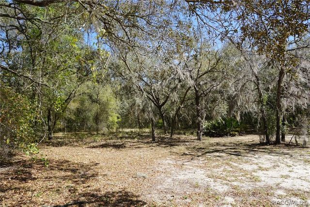 1259 E Wacker Street, Hernando, FL 34442