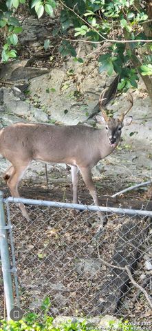 1247 Abbotsbury, Universal City, TX 78148