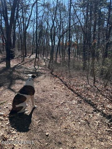 4005 Cleveland Street, Toms River, NJ 08755