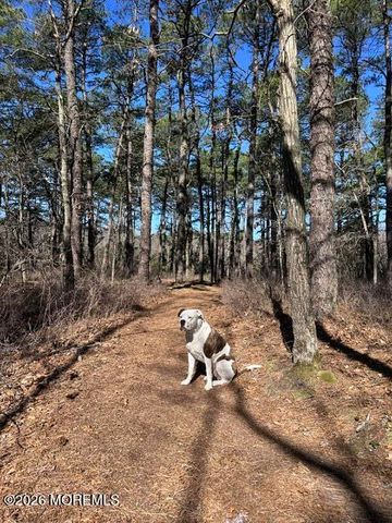 4005 Cleveland Street, Toms River, NJ 08755