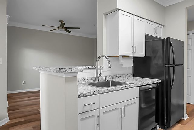 700 Daniel Ellis Drive 2203, Charleston, SC 29412