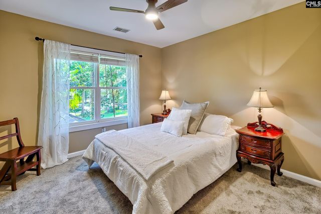 140 Rum Gully Lane, Chapin, SC 29036