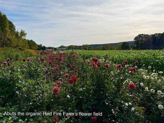 132 Meadow Rd, Montague, MA 01351