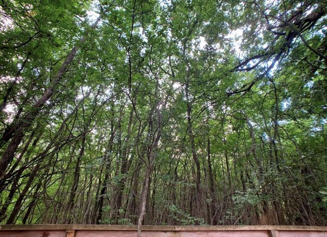 5603 Harold CT, Austin, TX 78721