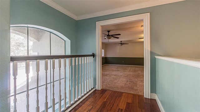 2807 WINDCREST OAKS COURT, Valrico, FL 33594