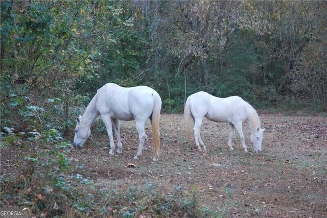 4271 Panthersville Road, Ellenwood, GA 30294