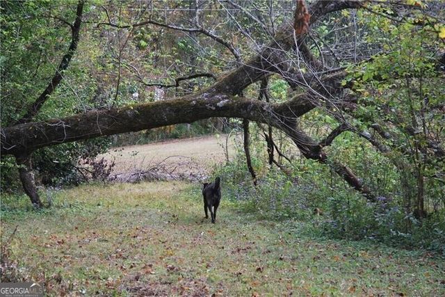 4271 Panthersville Road, Ellenwood, GA 30294