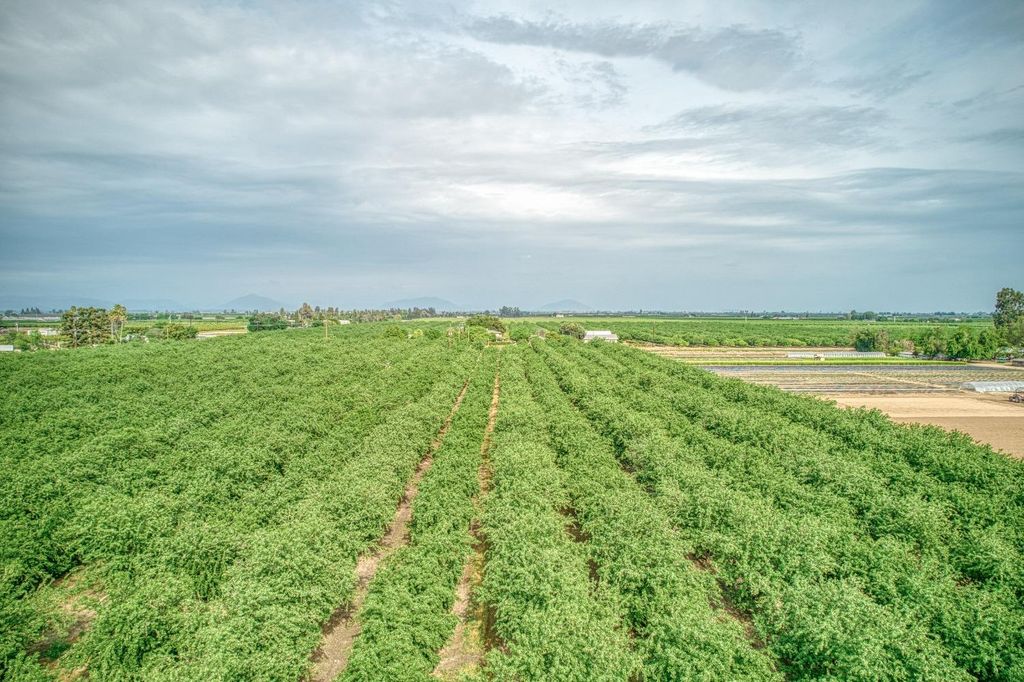 Image 7 of property listing at 1581 S Temperance Avenue, Fresno, CA 93727