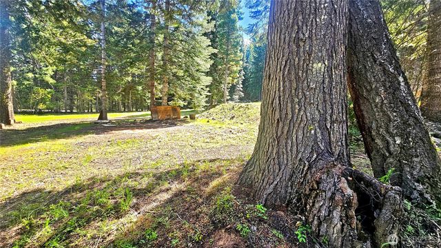 921 Jenkins Drive, Cle Elum, WA 98922