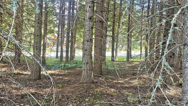 921 Jenkins Drive, Cle Elum, WA 98922