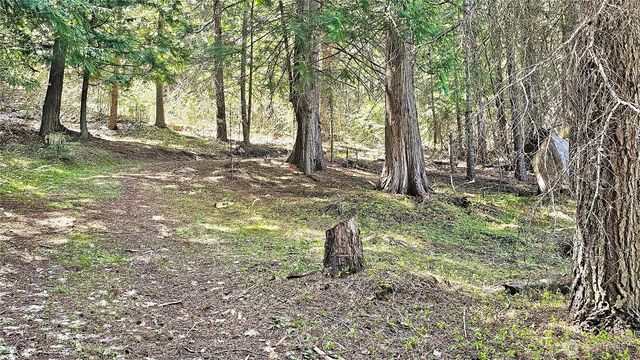 921 Jenkins Drive, Cle Elum, WA 98922