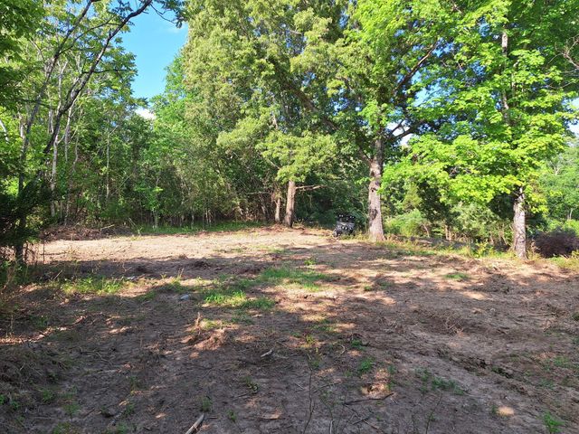 0 Bone Cave Rd, Rock Island, TN 38581