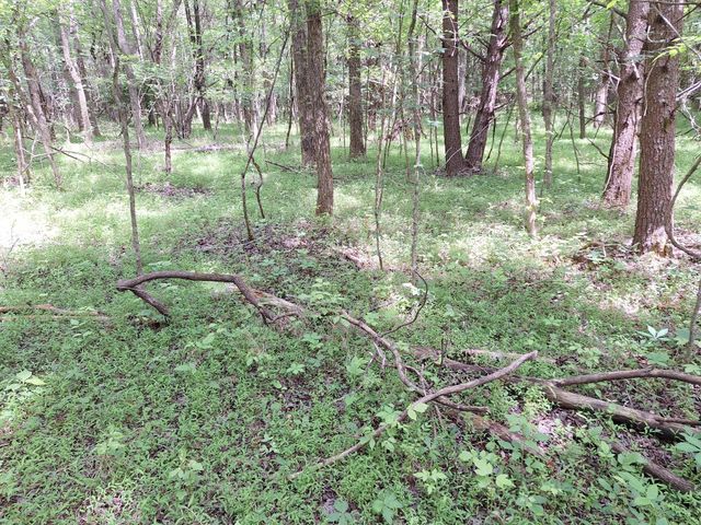 0 Bone Cave Rd, Rock Island, TN 38581