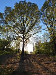 0 Bone Cave Rd, Rock Island, TN 38581