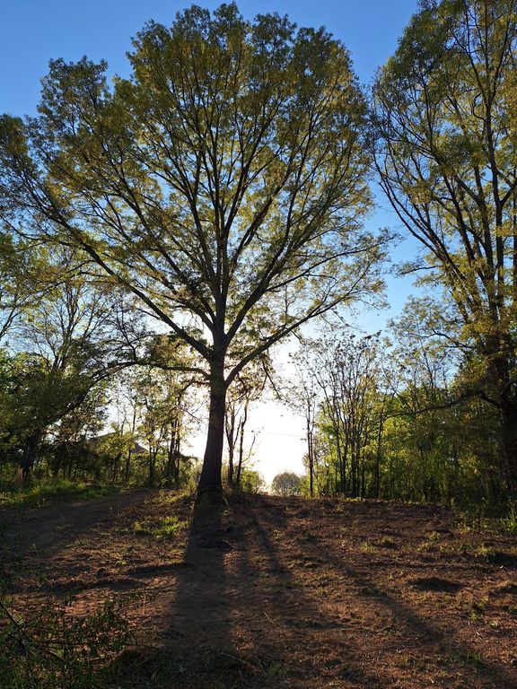 0 Bone Cave Rd, Rock Island, TN 38581