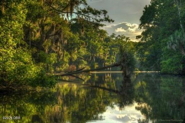 2013 Beaver Creek Drive, Port Orange, FL 32128