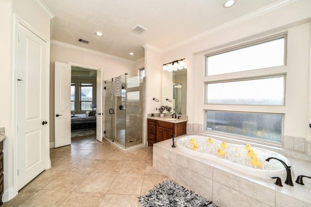 13819 Laurel Colony Trail, Houston, TX 77059